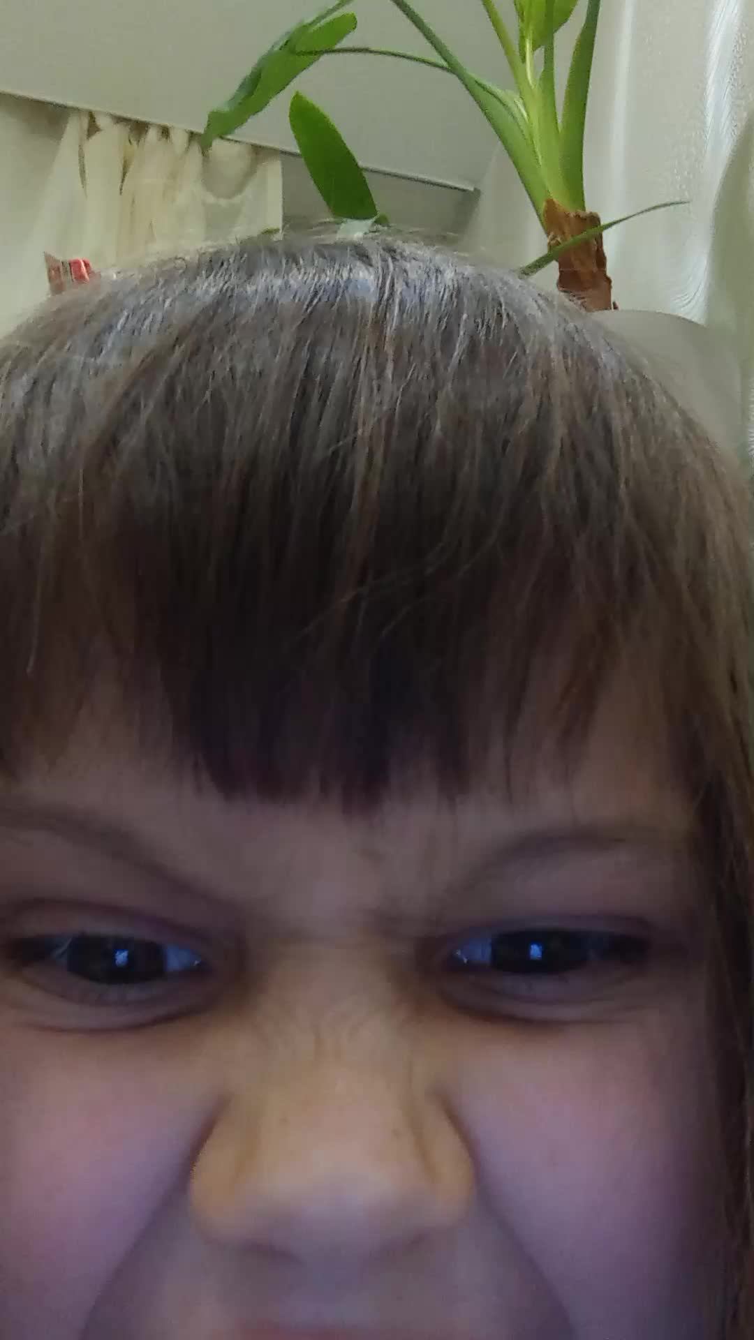 симка