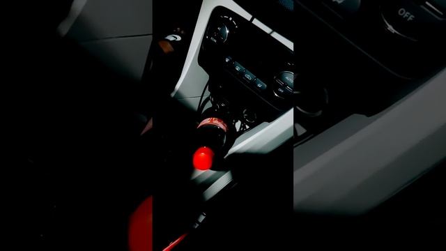 fries burger coco cola during ev charging