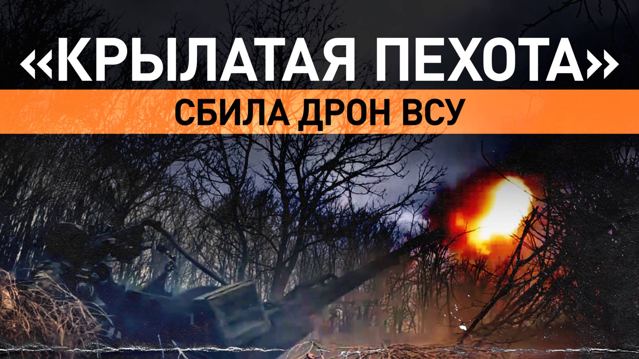 Десантники уничтожили разведывательный беспилотник западного производства в Херсонской области