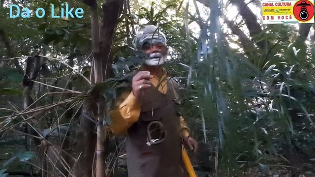 Coronirdo Pega Lázaro Video feito27/06/21 Seguir