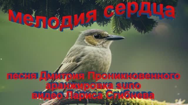 песня Мелодия сердца