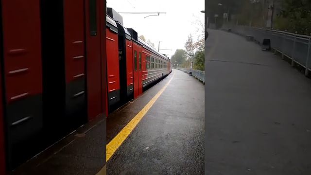 новый именой эд4м #train #питер 0376 Дзержинский