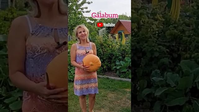 Готовим тыкву на зиму. Просто и вкусно @galabum #shorts