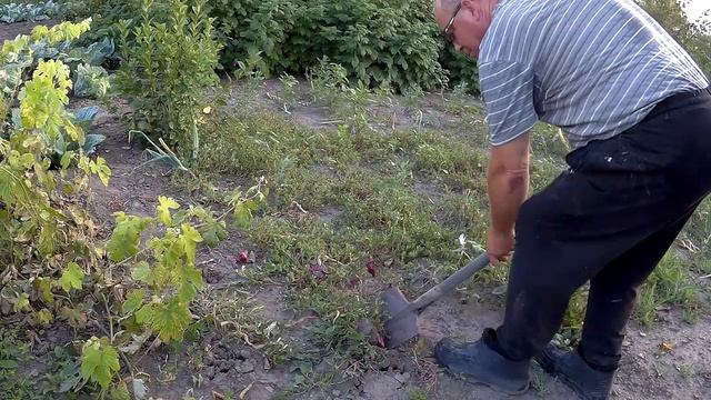 ЖИВЕМ В ДЕРЕВНЕ!!ОБЫЧНАЯ ДЕРЕВЕНСКАЯ СУЕТА!!!Деревенский влог