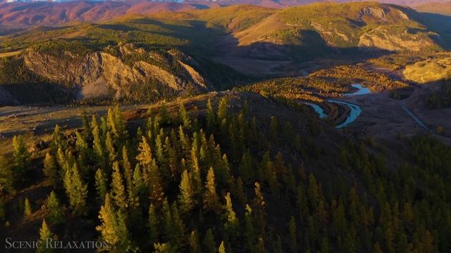 Udio | Улетай на крыльях ветра | Круче чем Suno