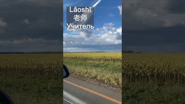 Учитель, студент, одноклассник на китайском