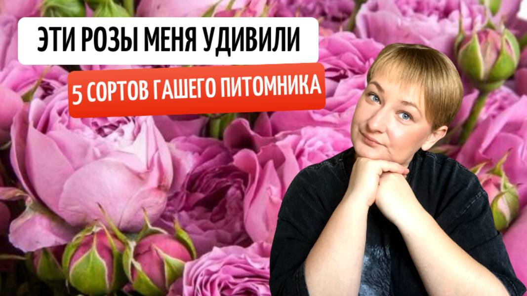 Розы, которые покорили это лето: Удивительные находки нашего питомника.