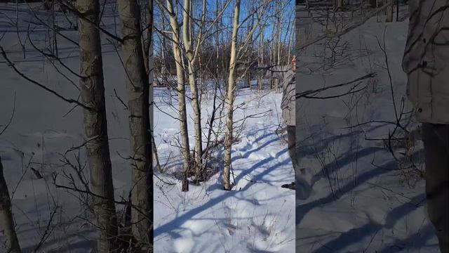 Поздравляем С Днём Защитника Отечества