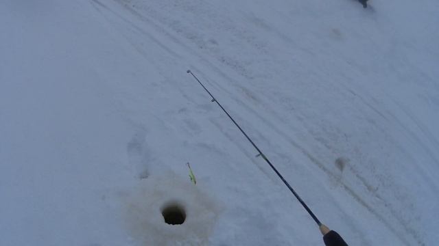 Город Березники посёлок Орёл (Тамань) Водохранилище чёткие поклёвки Судака