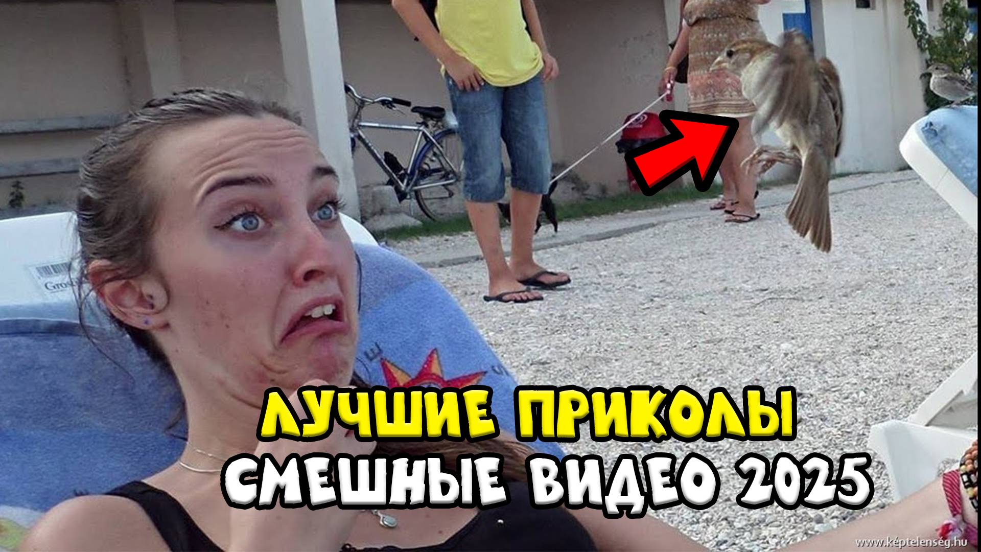 ЗАСМЕЯЛСЯ ПОДПИСАЛСЯ😂  Тест на Психику Челендж  ЛУЧШИЕ ПРИКОЛЫ 2024 года  УГАР #114