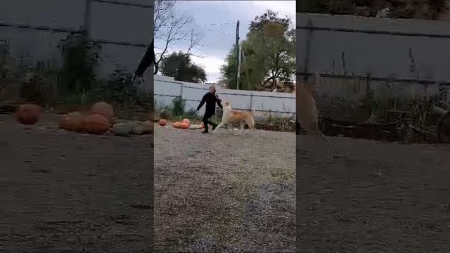 1000010441.mp4