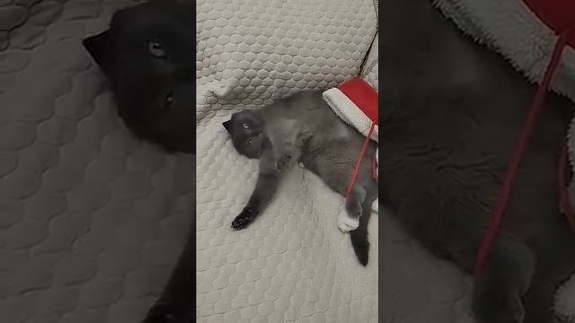 Улыбнитесь🤣🤣