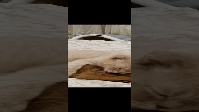 1000107962.mp4