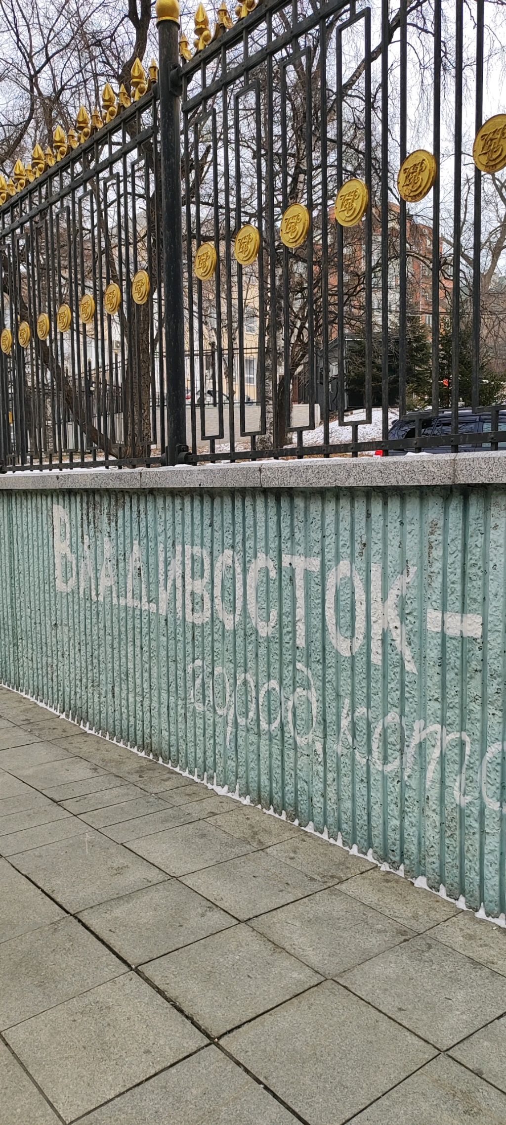 Владивосток (5 января 2025).