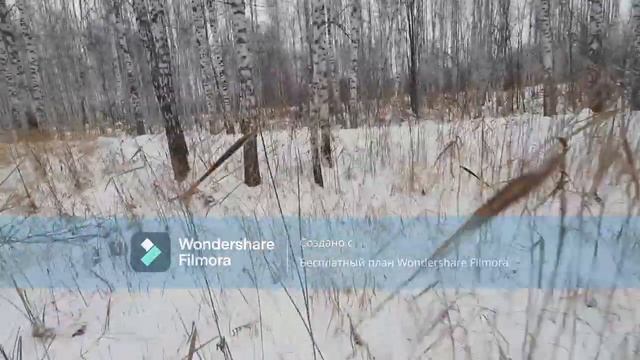 Открываю путик на квадрике Зим 350