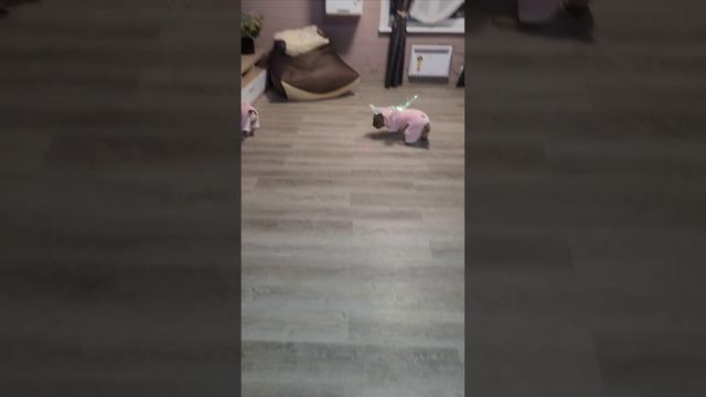 1000035485.mp4