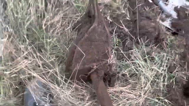 Нашел хорошее место для копа, с хорошим результатом