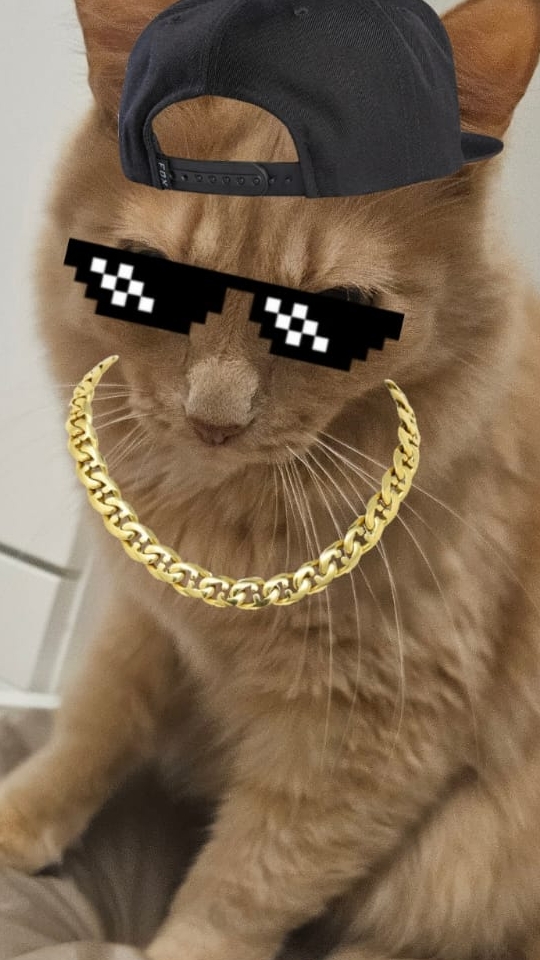 кто понял тот понял