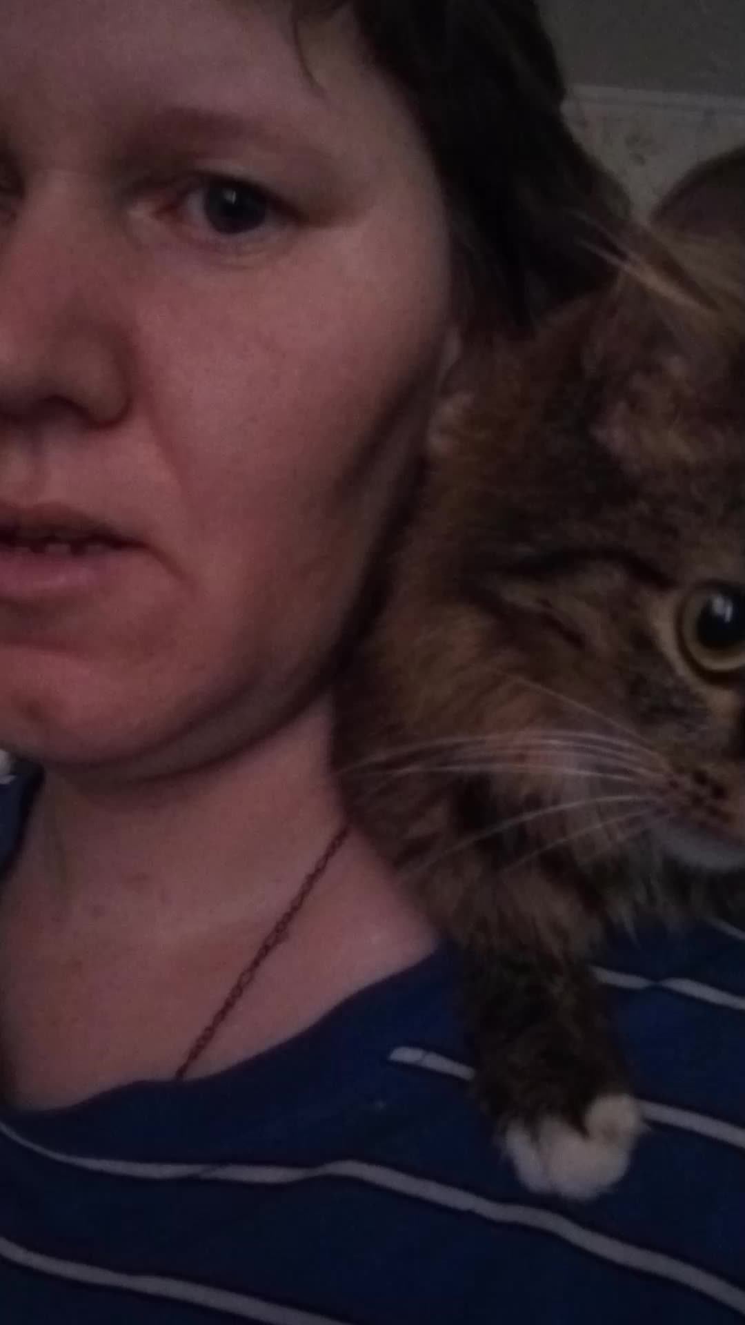 утренний эфир