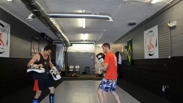 Straight Right kick counter