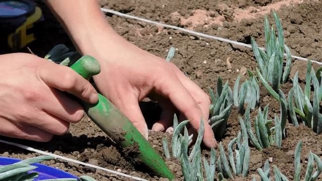 Кисловодск - роскошный курорт в любое время года