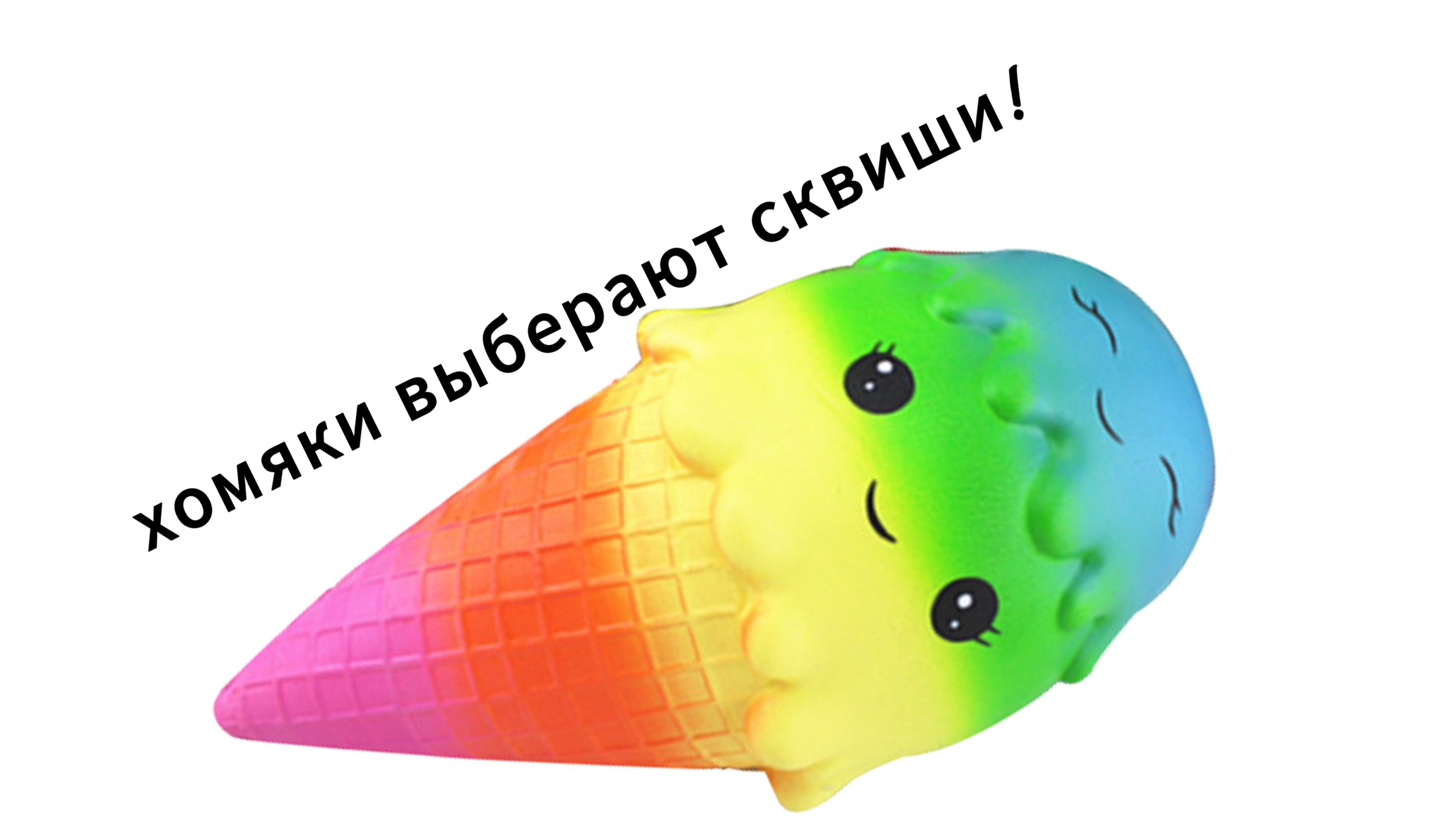 хомяк выберает сквиши!