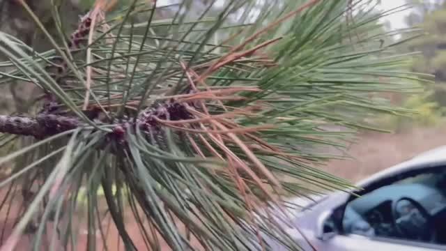 Автобокс Diamond