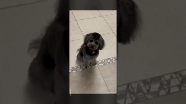 Шони❤️