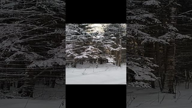VID20250105103508