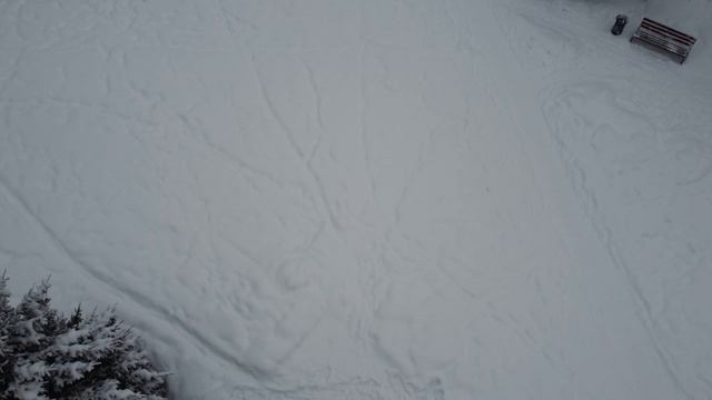 1000002409.mp4