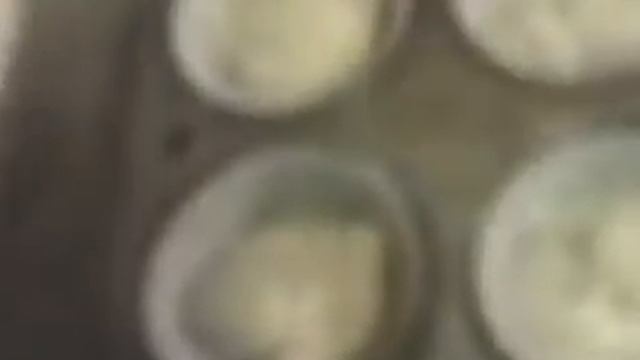 I'm Hungry At College: Muffins (Teaser 2) 2007 (r00ster.com)