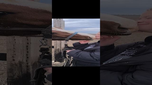 1000008546.mp4