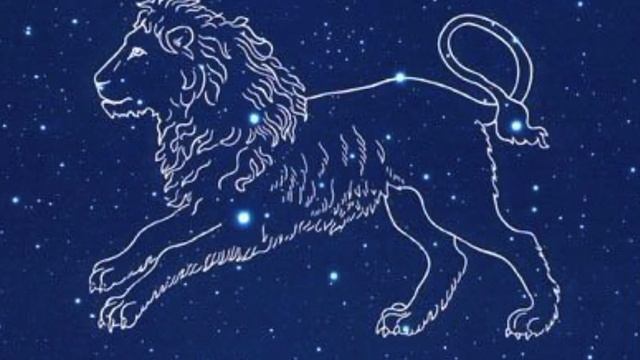 Лев ♌️