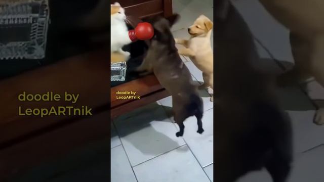 ДВОЙНОЙ УДАР!" 🐱💥🐕🐕