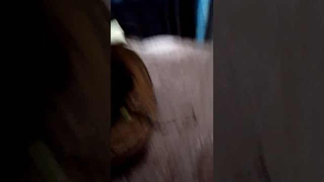 1000014398.mp4