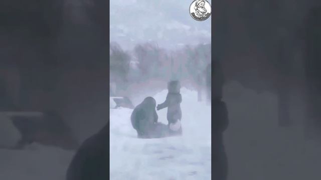 Чудо!!!🤗.mp4