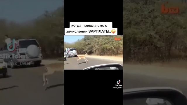 1000004364.mp4