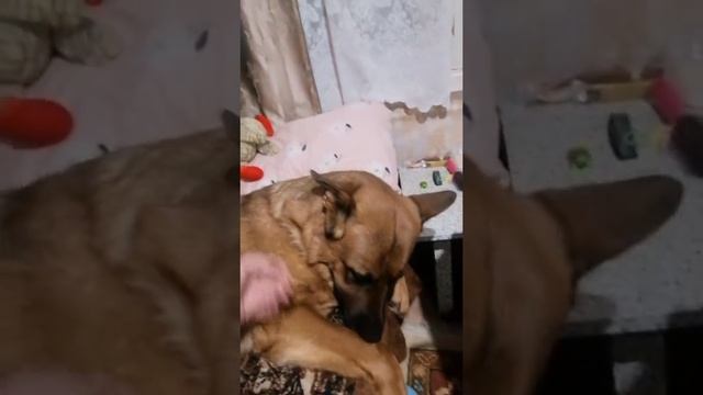 Грейс