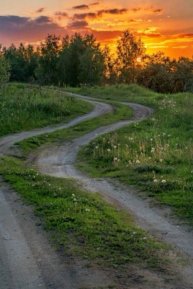 ❤️Алиса_резиночки 🧸