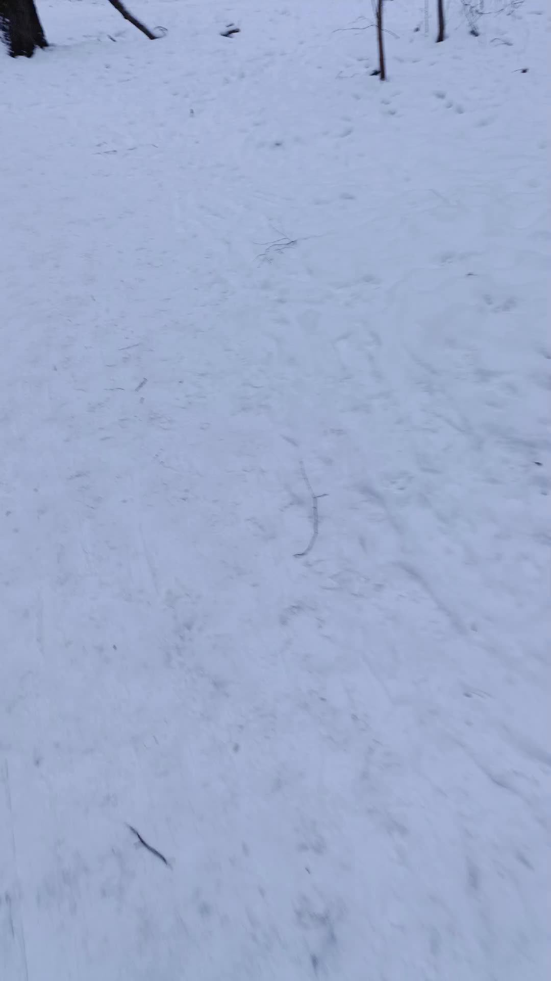 всем здравствуйте❄️