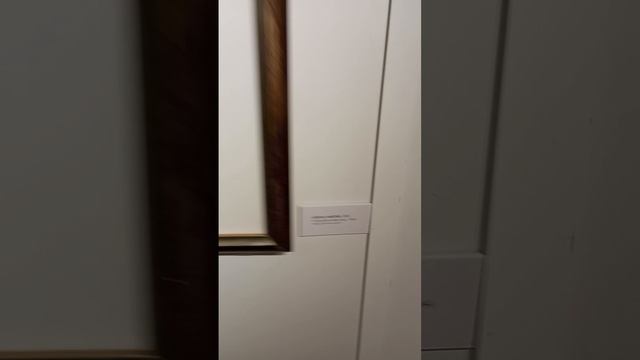 scene_output.mp4