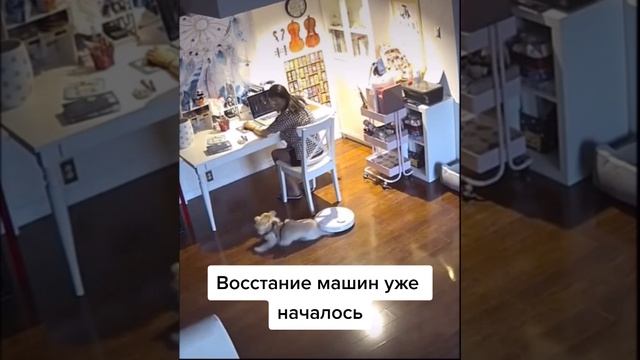 Надоело по волосику собирать, решил убрать главный рассадник