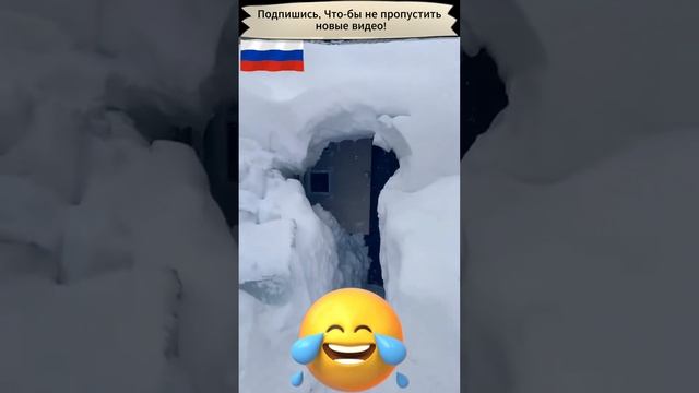 Заволило снегом