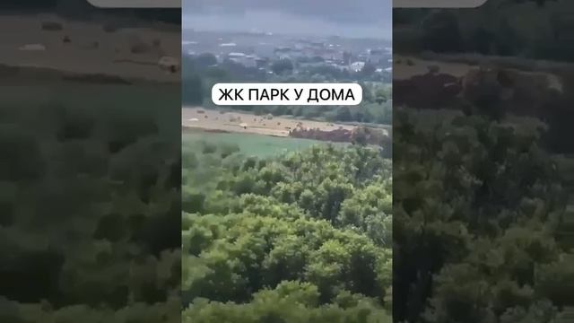 1000236059.mp4