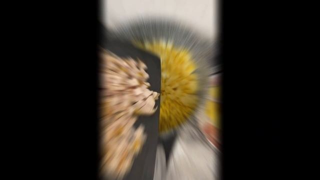 05-01-2025