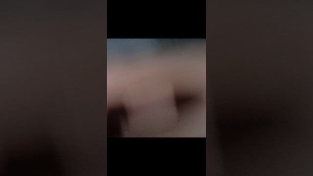 нашли друга 😎