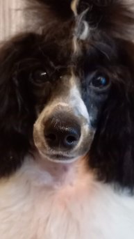 Игра на нерах