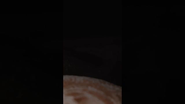 VID_20240904_005429_943.mp4