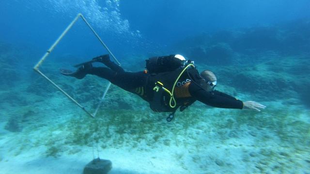 ПЕЩЕРЫ И КАНЬОНЫ ДАЙВИНГ НА КИПРЕ
CAVES AND CANYONS DIVING ON CYPRUS