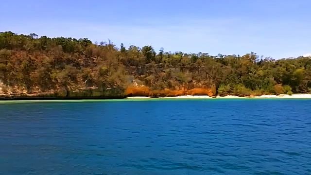 Король Оранжевое Лето - King Orange Summer, Guardalavaca, Cuba June 2011 HD
